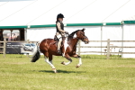 SBM_16358