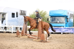 SBM_02823