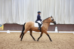SBM_000595