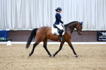 SBM_003905