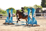 SBM_006807