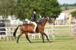 SBM_09649