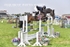 BPP_7379