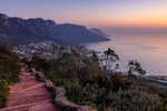 the-path-from-lions-head