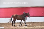 BPP_1440