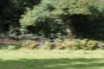 FOM_0655