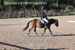 BPP_8342