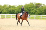 SBM_006540