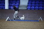 SBM_006064