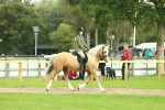 SBM_62644
