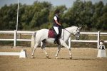 SBM_004251
