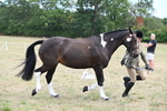 WJ6_5881