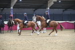 SBM_13019