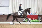 SBM_019686
