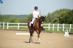 SBM_007985