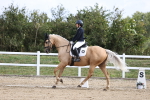 SBM_015398