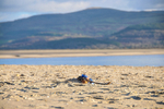 Ynyslas_1969