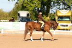 SBM_08146