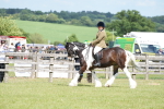 SBM_17287