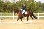 SBM_018446