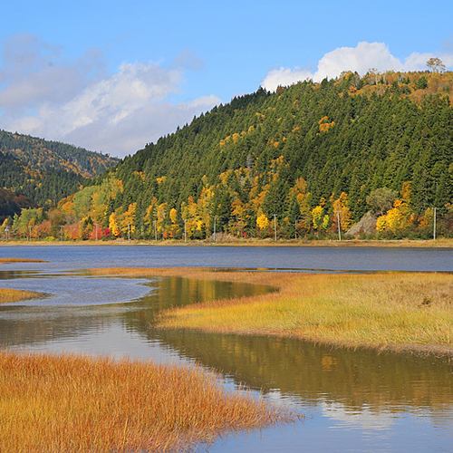 Upper Salmon River Estuary Delta Salt Marsh in Alma, Albert County, New Brunswick Canada.