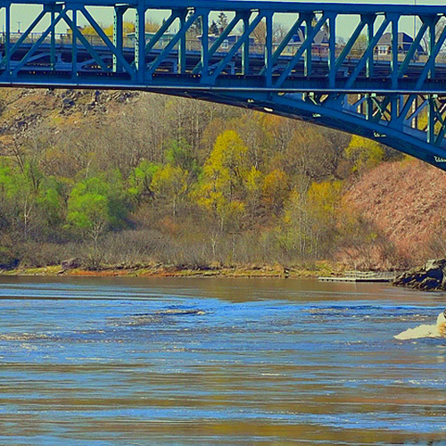 Pilot/Tug boat heading down river & under the bridge at high tide