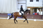 SBM_001033