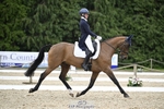 442-FERNHILL_ZORO-Cassie_Sanger portfolio