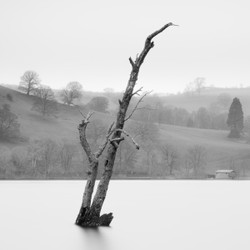 Ullswater Lost Trees portfolio