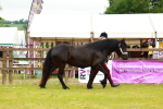 SBM_00360