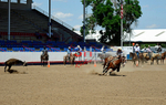 3HRodeo8-11-25_PRCASteer_06099_