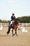 SBM_008646