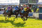 111024-Race 5-Vince LAmour-6963