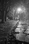 Otley Church path and Tombstones