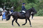WJ7_1159