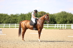 SBM_002788