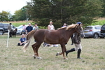 WJ6_6682