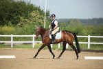 SBM_007930