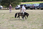 WJ6_7015