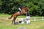406-COOLEY_FOXTROT-Andrew_Downes-XC portfolio