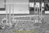 BPP_7191
