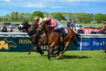 120526-Race 4-Dandy Dinmont-8279