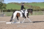 BPP_9204