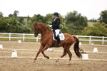 SBM_006841