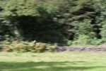 FOM_0682