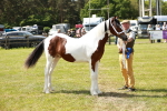SBM_04268