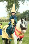 S35 - Fancy Dress Showing portfolio