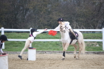 SBM_003952