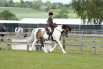 SBM_17631