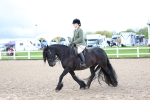 SBM_00331